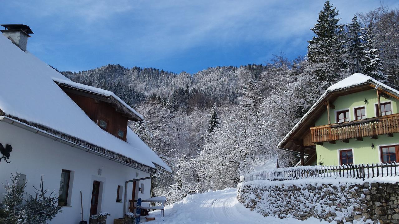 Vaznik Farm House Apartments Bled Exterior photo