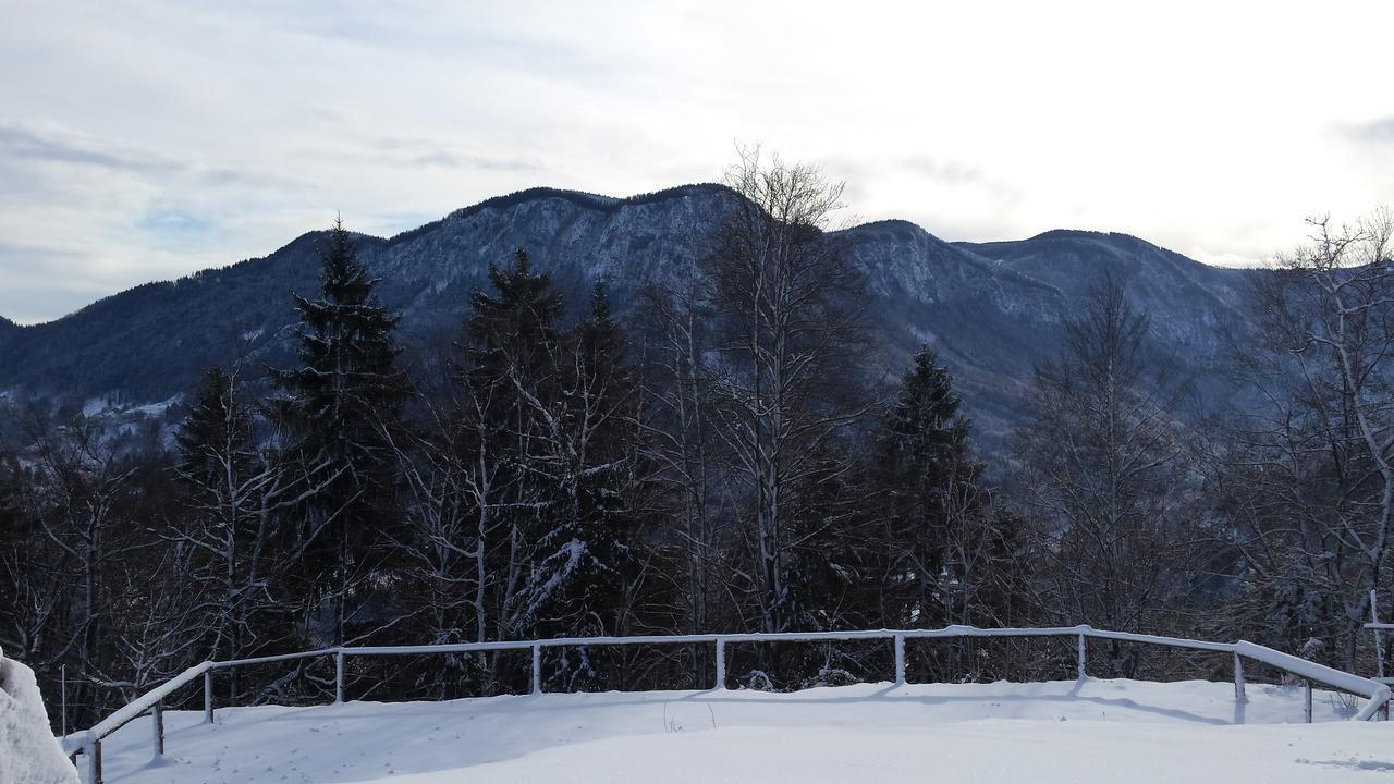 Vaznik Farm House Apartments Bled Exterior photo